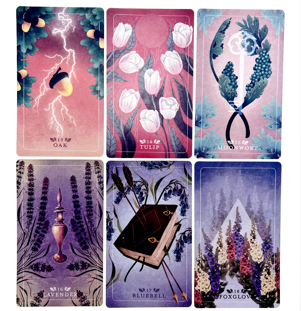 The Seed sickle Oracle Deck A  - Board Game Quantum บทวิจารณ์และราคา
